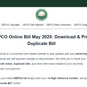 Publish Guest Post on gepcoebill.pk