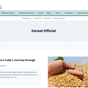 Publish Guest Post on zaraatofficial.com